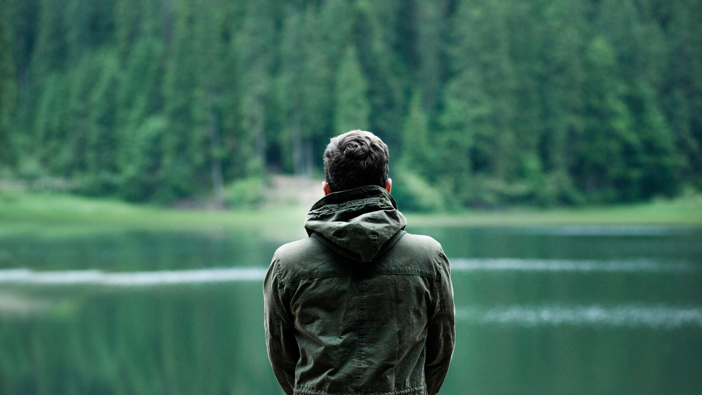 Person in a green jacket looking at a forest lake near Minds and Mountains ecolodge
