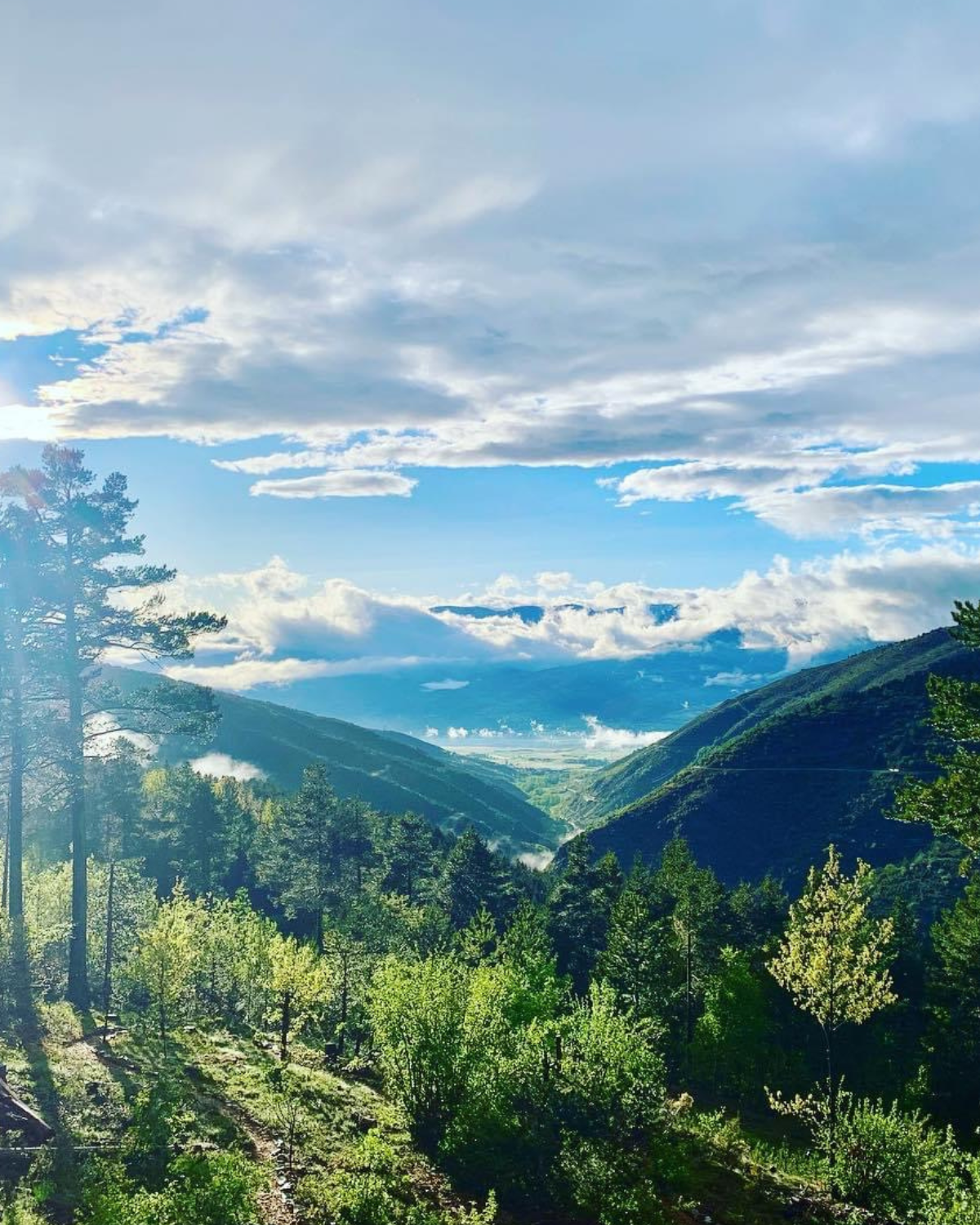 view from Minds and Mountains